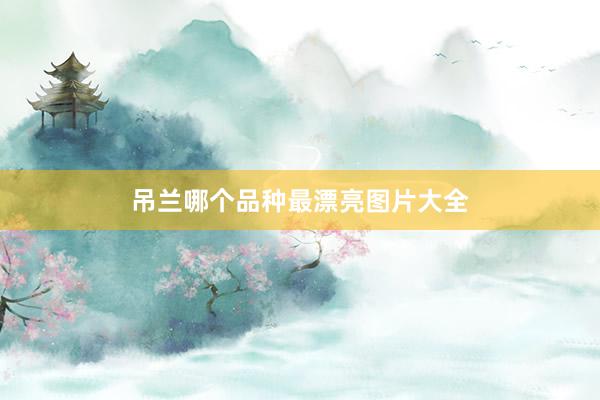 吊兰哪个品种最漂亮图片大全